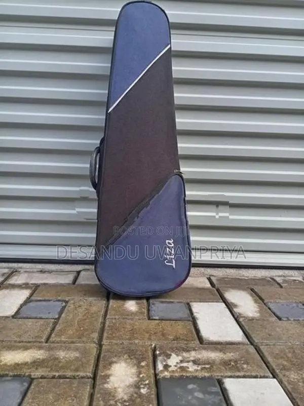 Violin