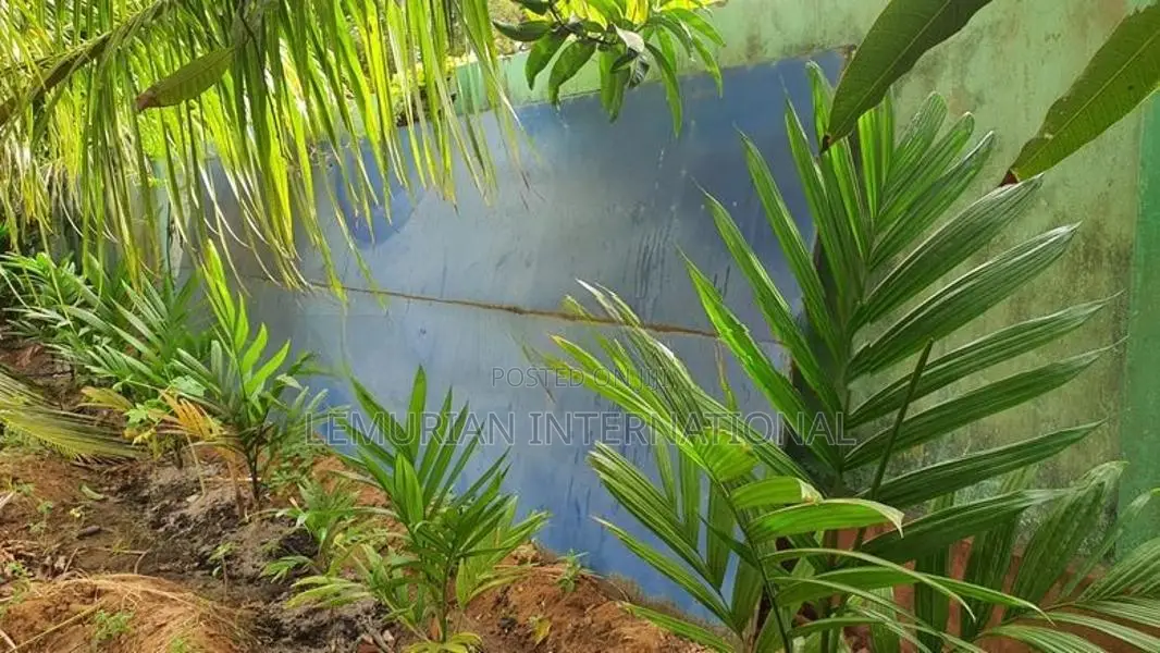 Used Iron Sheet (Tin) Structure With Box-Bar Frame