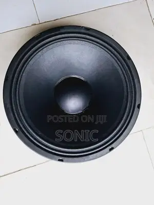12 Line Array Speaker