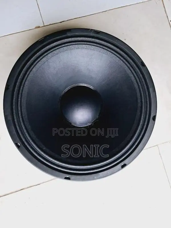 12 Line Array Speaker