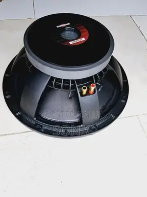 12 Line Array Speaker