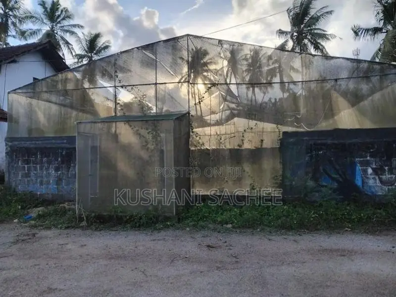Poly Tunnel