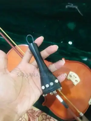 Violin