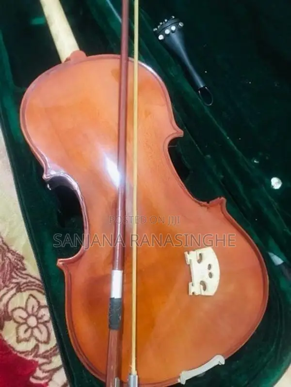 Violin