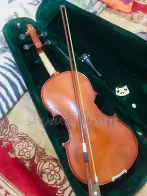 Violin