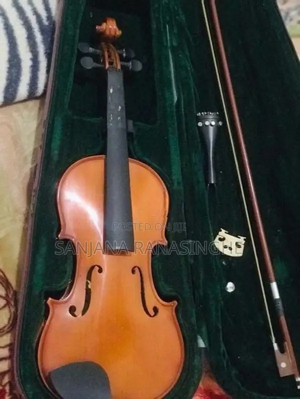 Violin
