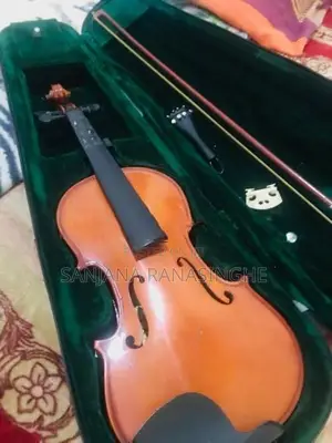 Violin
