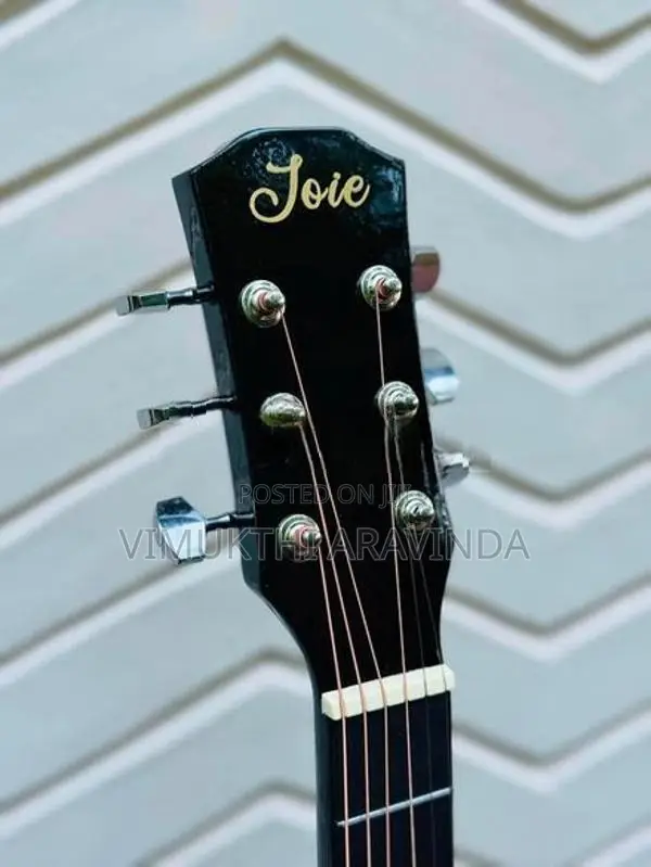 Brand new semi acoustic guitar