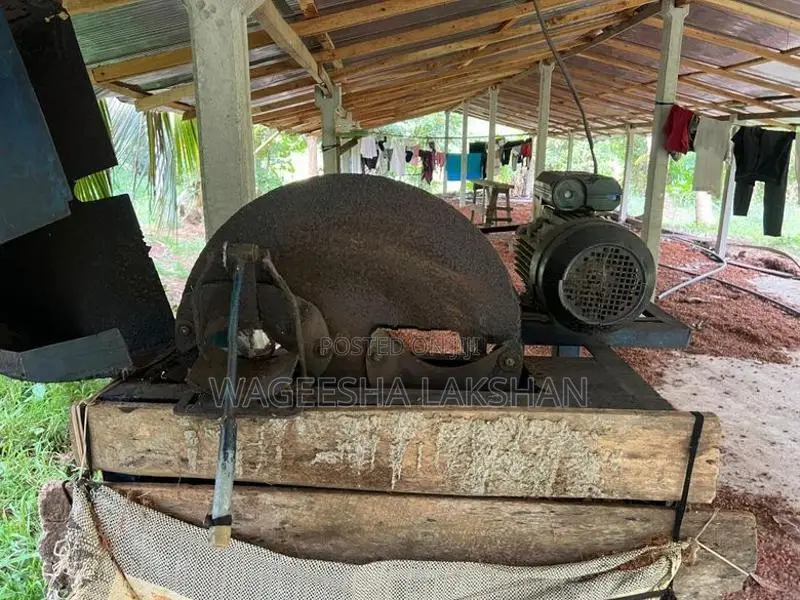 පොල් ලෙලි කපන Machine