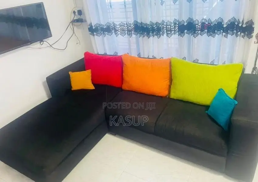 Singer Sofa Set with Pillow