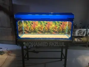 Fish Tank