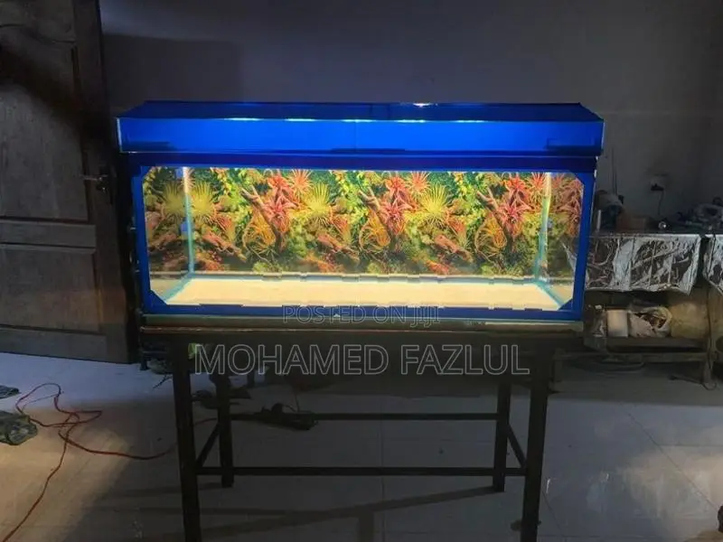 Fish Tank