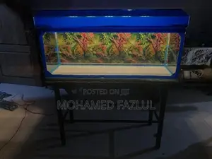 Fish Tank