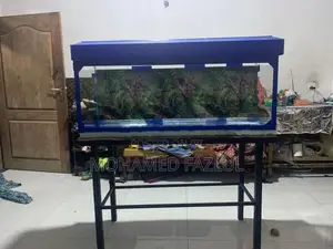 Fish Tank