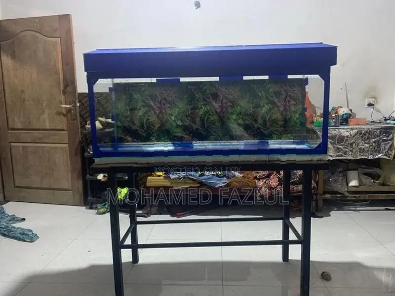 Fish Tank