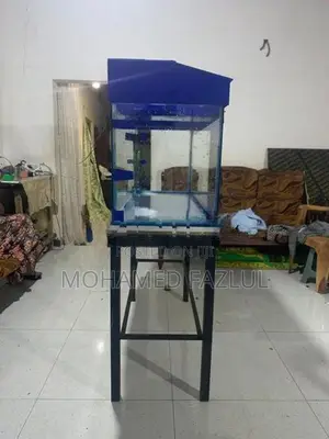 Fish Tank