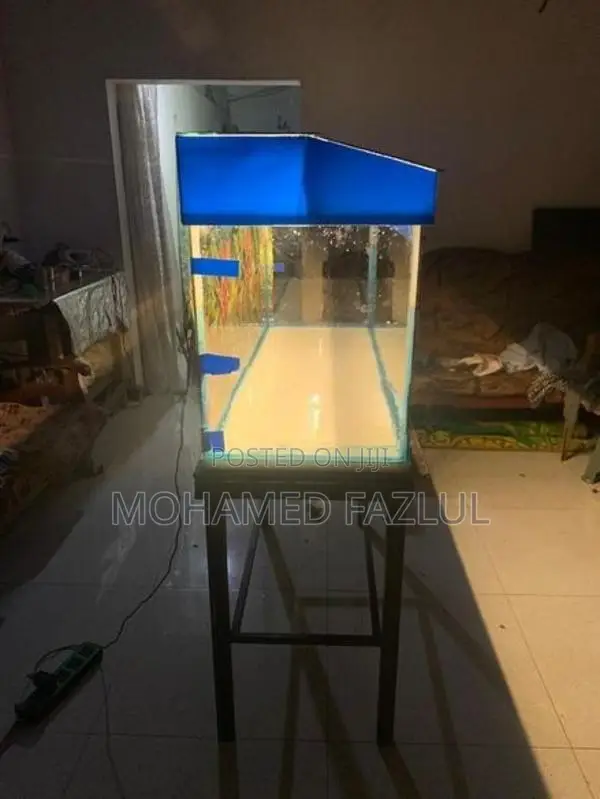 Fish Tank