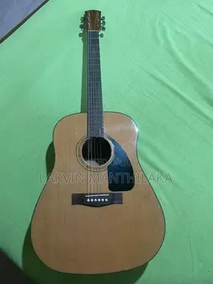 Guitar