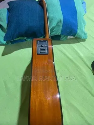 Guitar