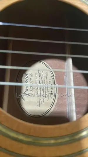 Guitar