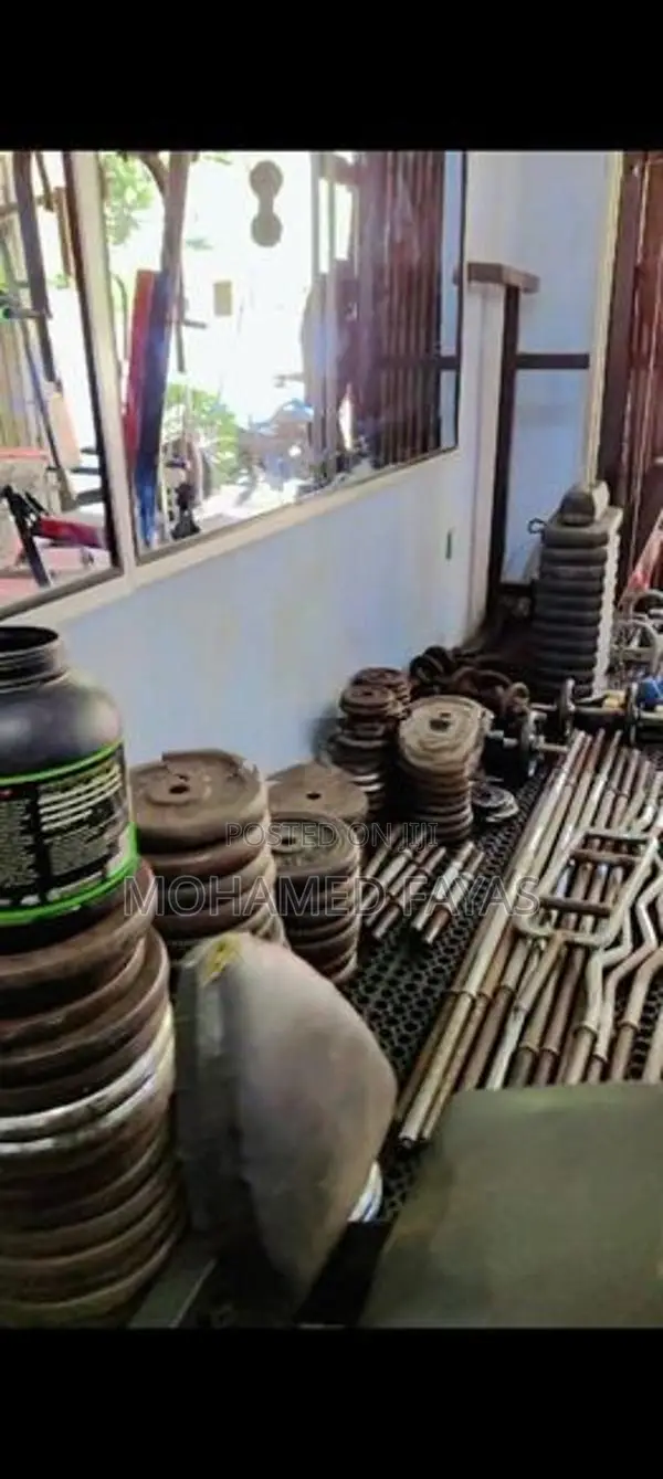 All Workout Gym Equipments