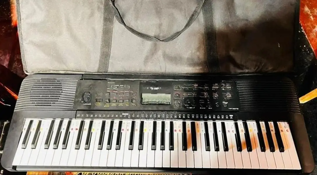 PSR E273