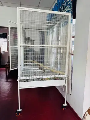 Parrot Cage