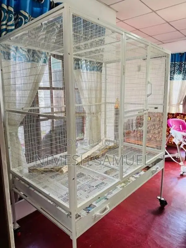 Parrot Cage