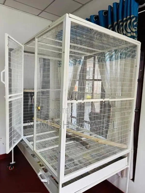 Parrot Cage