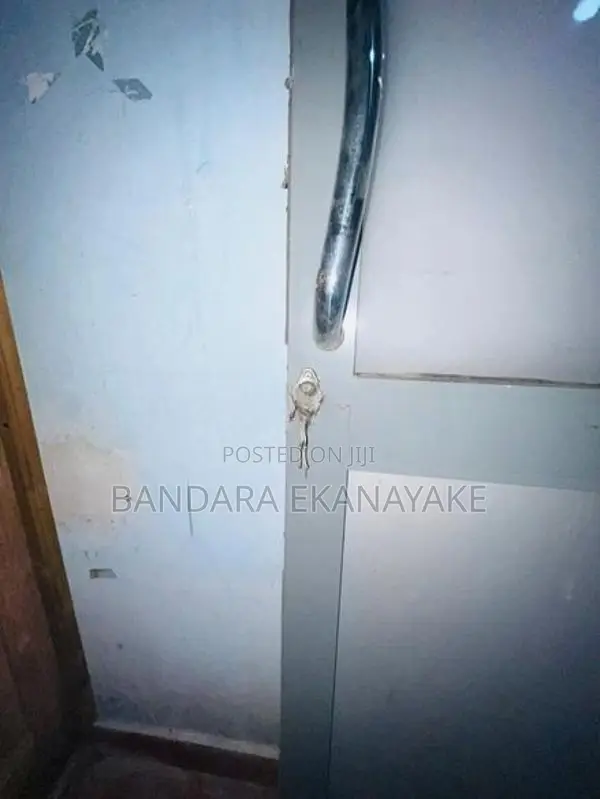 Aluminum Door With Frame