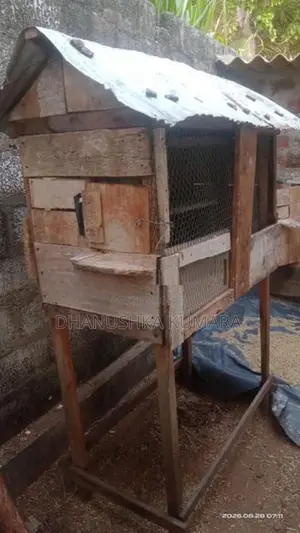 කුඩුවක් විකිනිමට ඇත
