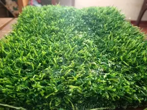 Artificial Grass Carpets