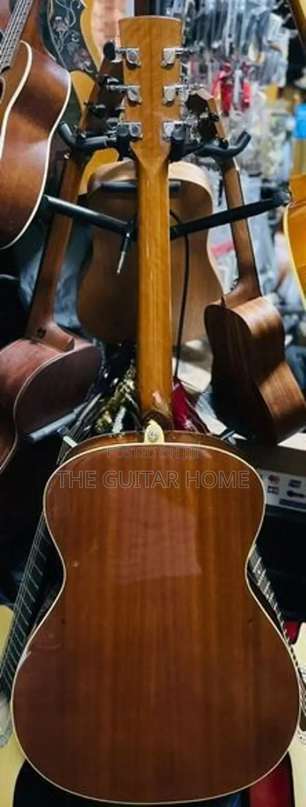 Ibanez Acoustic Guitar