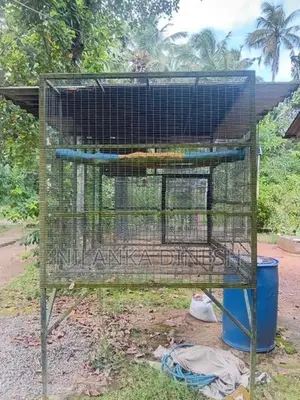 කුඩූ දේකම විකිණීම