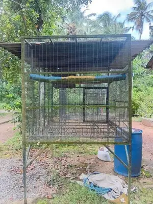 කුඩූ දේකම විකිණීම