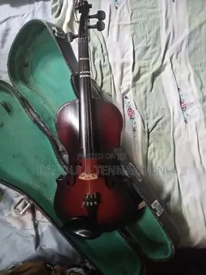 Violin