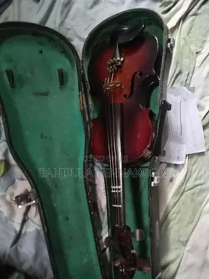 Violin