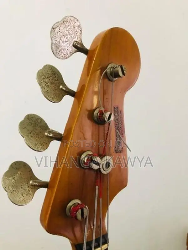 Bass Guitar