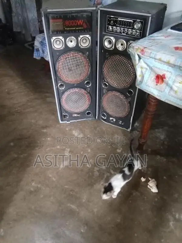 Power Speaker Set