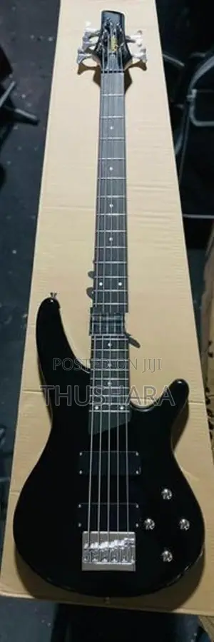 5 Strings Bass Guitar