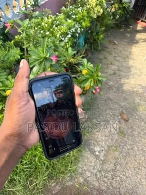 Apple iPhone 11 (Used)