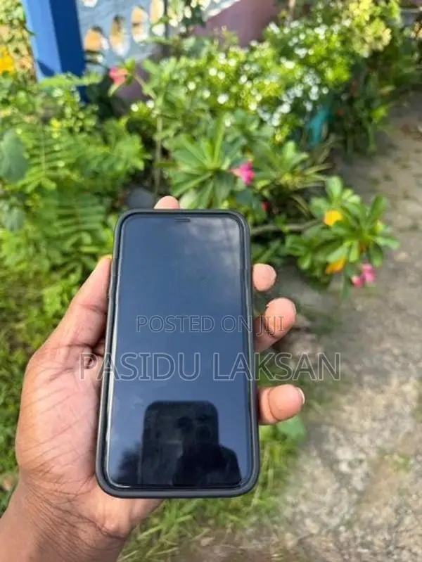 Apple iPhone 11 (Used)