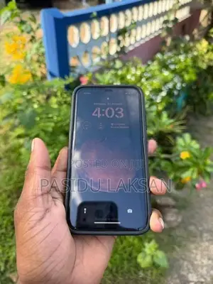 Apple iPhone 11 (Used)