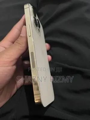 Apple iPhone 13 Pro (Used)
