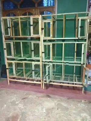 Birds Cage