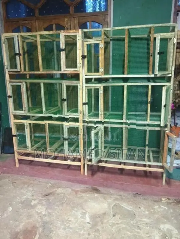 Birds Cage