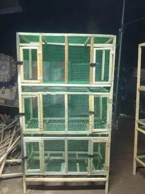 Birds Cage