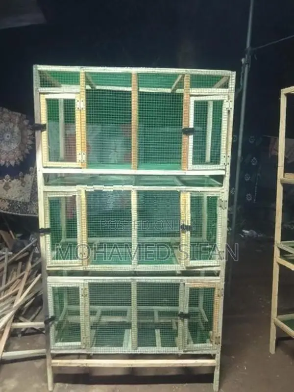 Birds Cage