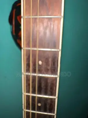 F Kalen Acoustic Guitar