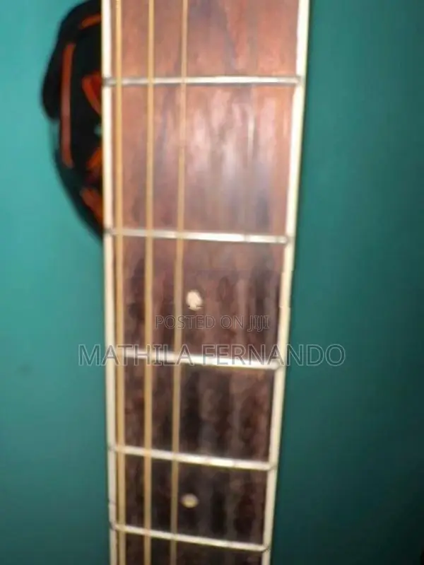 F Kalen Acoustic Guitar